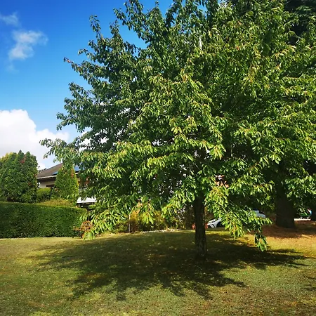 홈스테이 Votre Au Calme *